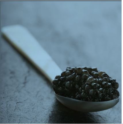 extrato de caviar